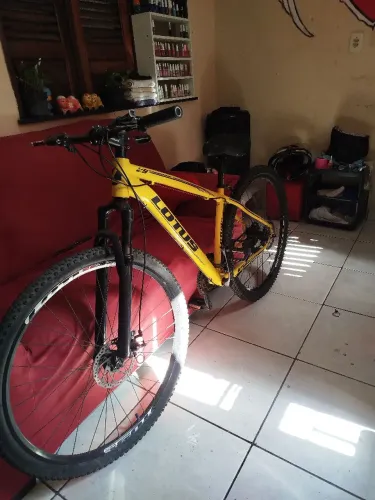 Bicicleta Lotus aro 29