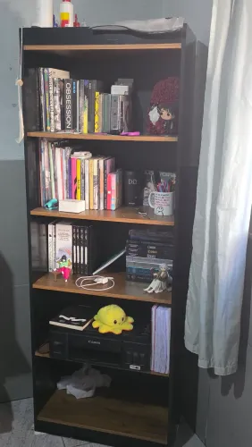 Estante de livros