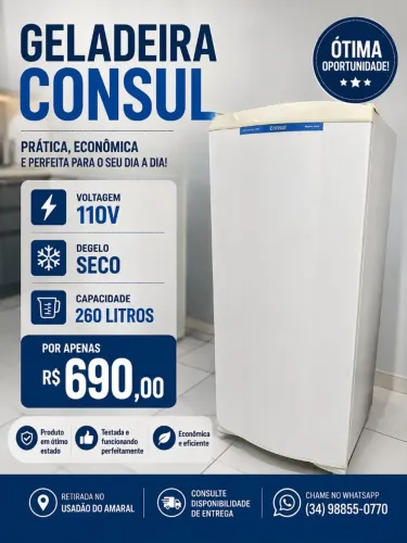 Geladeira Consul 260L 110V - Degelo Seco