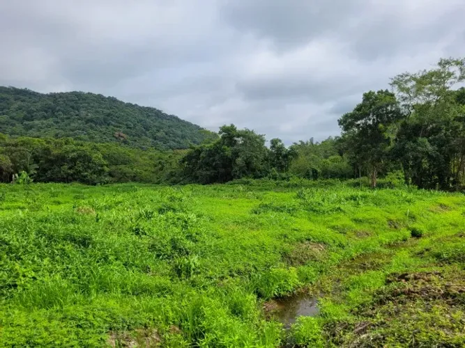 Vende-se Chácara de 56.000 m2 em Paranaguá