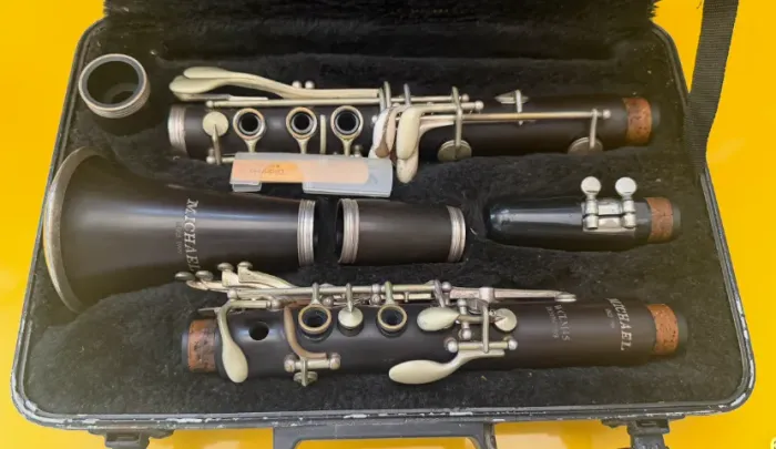 Clarinete Michael + boquilha + case + palheta