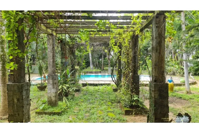 Sítio frutífero de 2,6 hectares em Igarassu, com fonte de água mineral