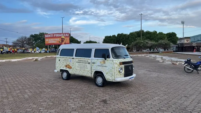 Volkswagen Kombi Standard 1.4 MI Total Flex 8V 2014