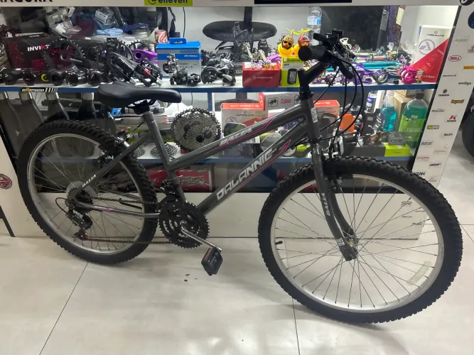 Bicicleta aro 24