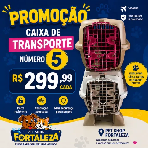 Caixa de transporte número 5 na cor rosa e cinza.