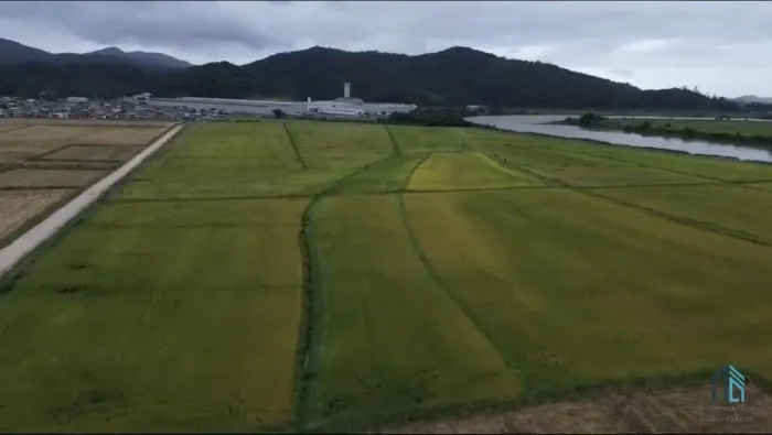 TERRENO 20 HECTARES - 201 MIL METROS QUADRADOS EM ILHOTA - SC