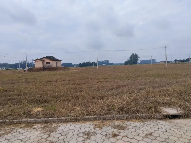 Terreno (Lote) na cidade de turvo SC - Bairro São Felipe