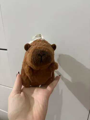 Pelúcia pequena de capivara
