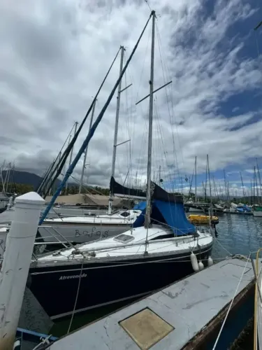 Veleiro Cal 9.2 30 pés Roda De Leme Motor Yanmar 3ym30