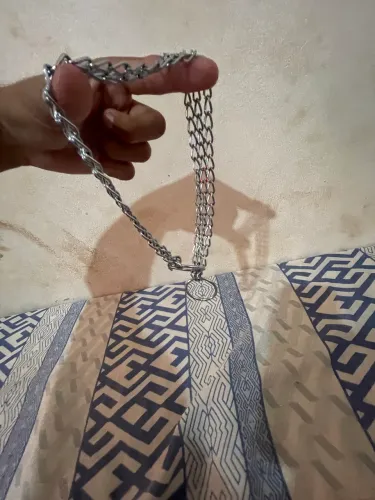 Correntinha para o seu cachorro filhote 