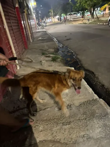 Doação 