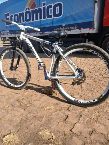 Bike Absolute Aro 29 Grau Dowhill.
