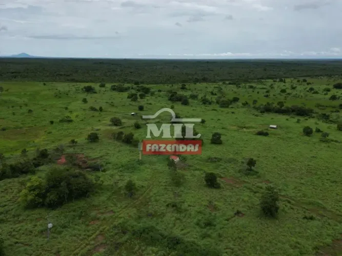 Fazenda 280 Alqueires (1355,2 Hectares) Formosa - GO