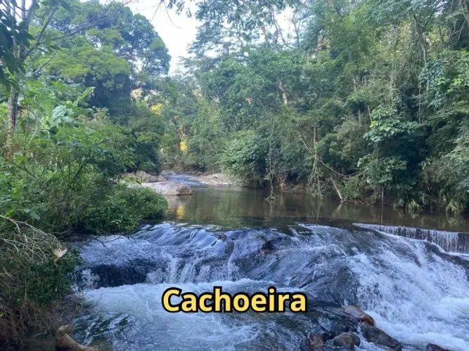 Sítio em Pedro de Toledo 120.000m² - Rio na propriedade e mais de 100 árvores frutíferas