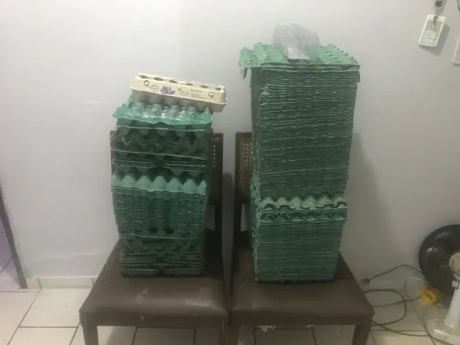 Cartelas de ovos à ponta entrega 1.50 cada
