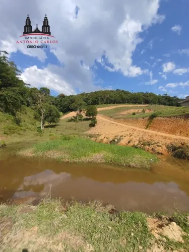 Sítio Rural à Venda em Antônio Carlos - Bairro Usina | 30.000 m²