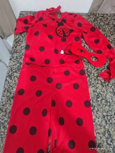 Fantasia joaninha