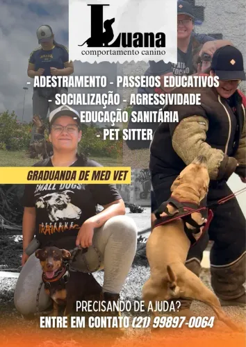 Passeador/passeio de cães e adestramento