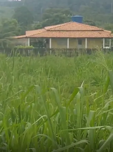 Vendo Excelente Fazenda em Pacaja - Pará