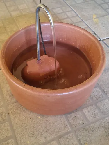 Fonte de barro para felinos