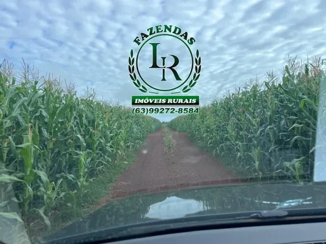 Fazenda de lavoura no Tocantins Área de 232 Hectares,