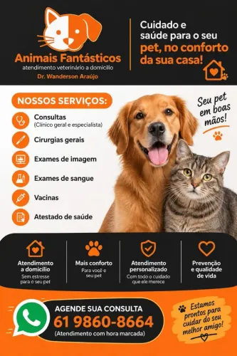 Atendimento veterinário a domicílio Brasília DF/ Entorno
