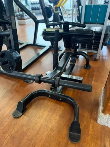 Máquina de panturrilha sentada e anilhada