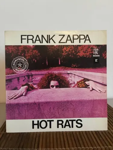 Vinil
