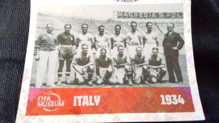 Figurinha Panini oficial 