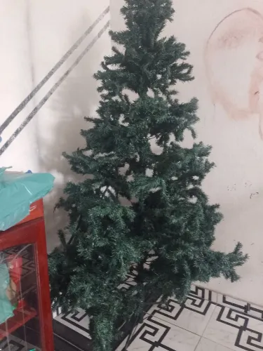 Árvore de Natal nova