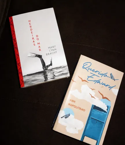 LIVROS HERDEIRAS DO MAR E QUERIDO EDWARD- Brinde na descrição