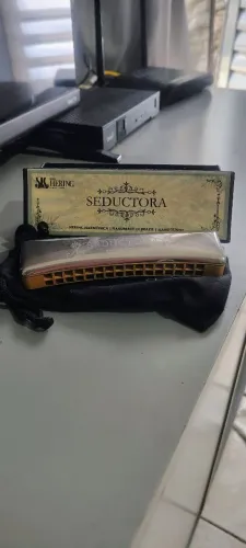 Gaita Seductora em estado impecável!