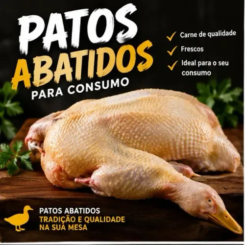 Pato abatido