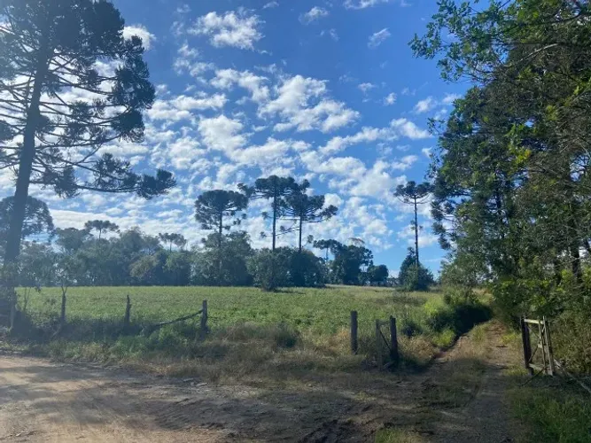 Vendo sítio Laranjeiras com 51.000 m2