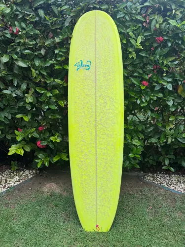 Longboard - mini long