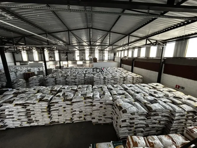 Galpão / Depósito / Armazém à venda em Belo Horizonte