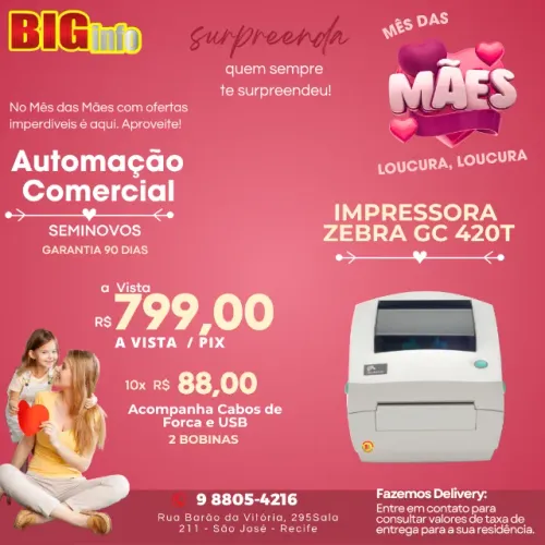 Impressora Termica Zebra GC420T