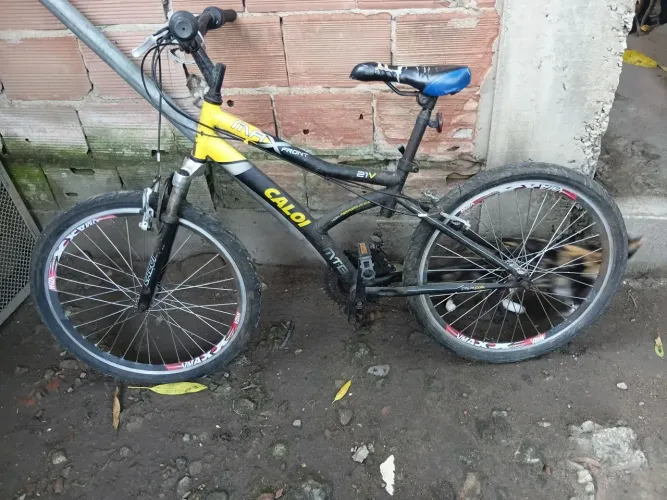 Bicicleta aro 24