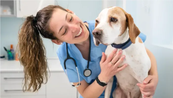 Vaga de Emprego: Veterinário(a) com Foco em Pequenos Animais - Cuiabá