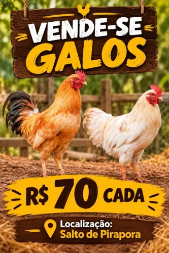 Vendo 2 galos