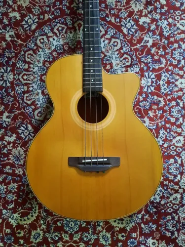 Baixolão Rozini