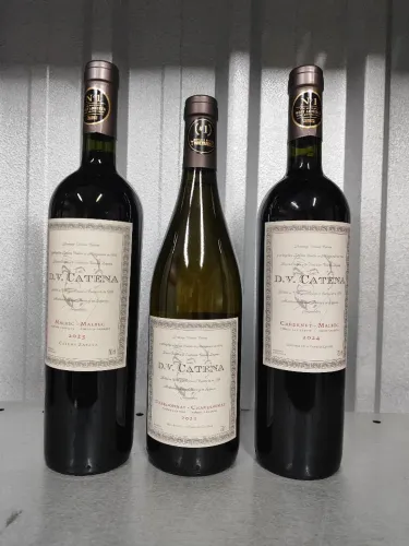 Vinho Argentino