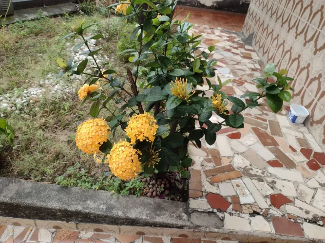 Condomínios pequenos 