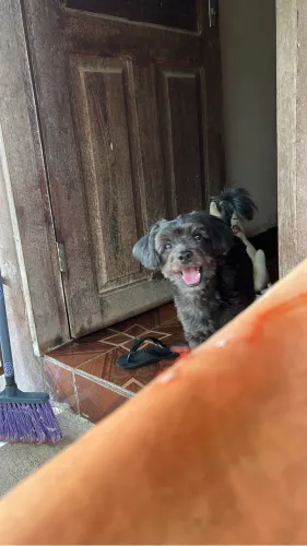 Procurando uma Namoradinha pra cruzar com meu filho 