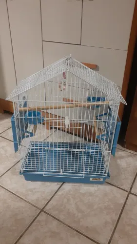 Gaiola Para Calopsita.