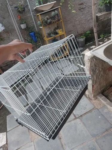 Gaiola para pássaros ou Coelho