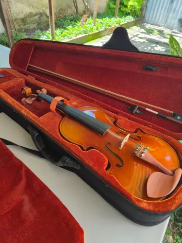 Violino Hofma