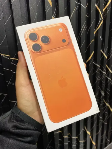 iPhone 17 Pro Max 256Gb 100%