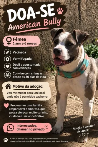 Doa-se cachorro fêmea merle