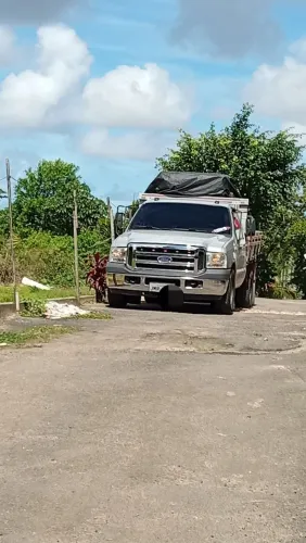 Caminhão F350G